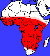 Mapka přirozeného výskytu terek afrických.